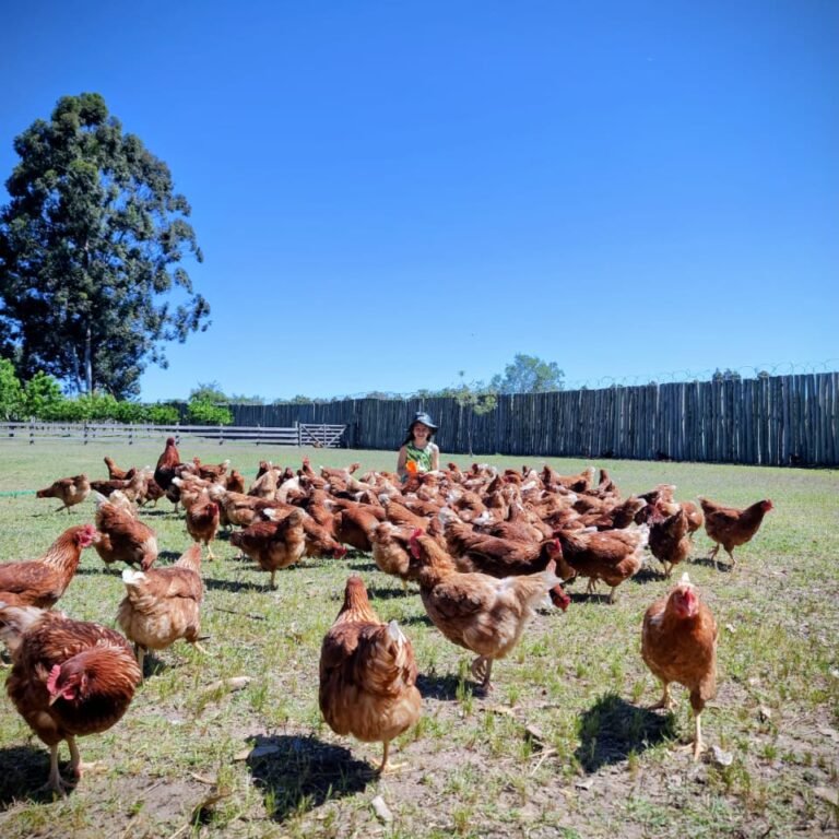 WhatsApp Image 2025-10-21 at 22.16.14 (2)