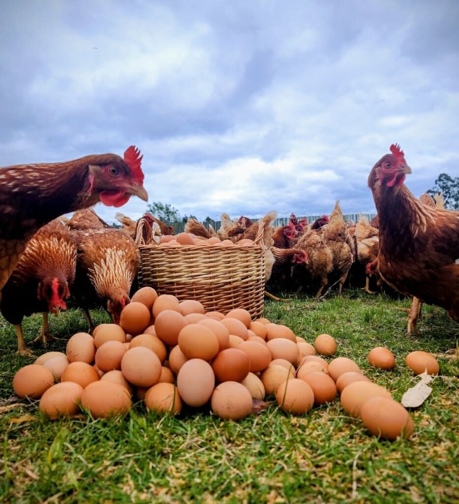 WhatsApp Image 2025-10-21 at 22.21.56